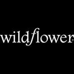 Wildflower Cases discount code